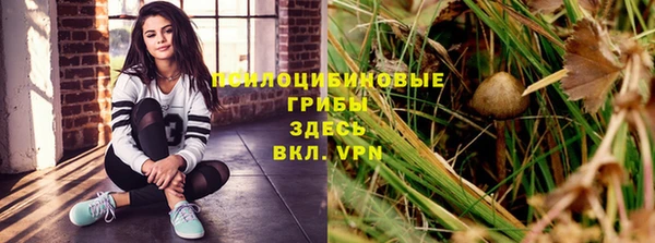 гидра Лиски