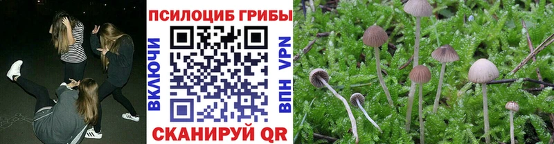 Галлюциногенные грибы мицелий  Купить  Игарка 